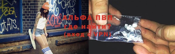 спиды Михайлов