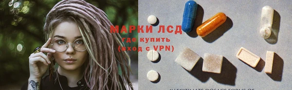 индика Михайловск