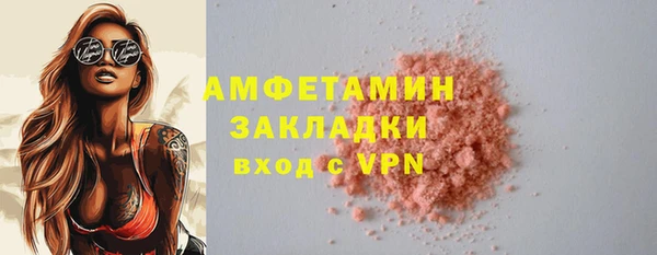 индика Михайловск