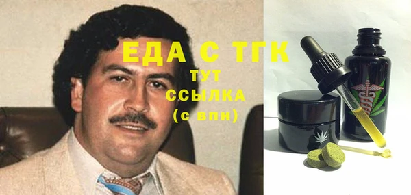 индика Михайловск