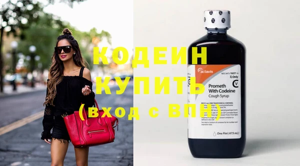 индика Михайловск