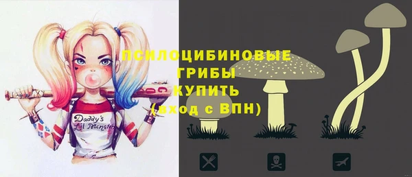 спиды Михайлов