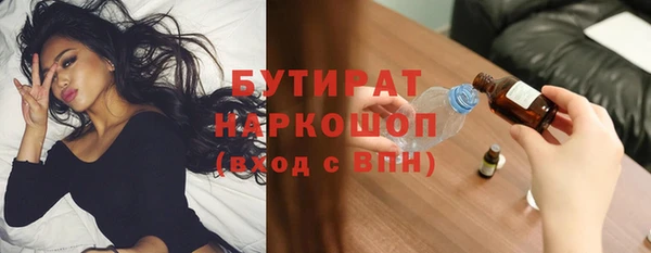 индика Михайловск