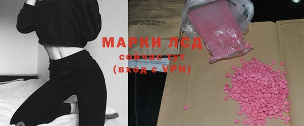 индика Михайловск