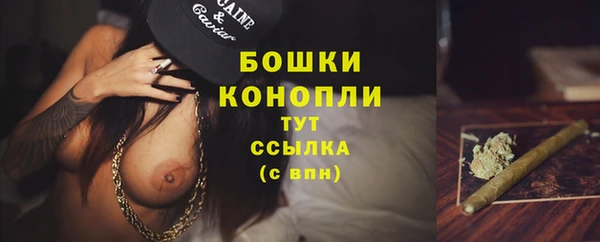 спиды Михайлов