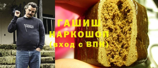 индика Михайловск