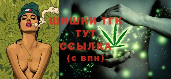 индика Михайловск