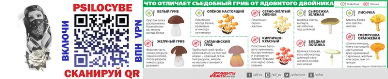 Галлюциногенные грибы Psilocybe Сорочинск