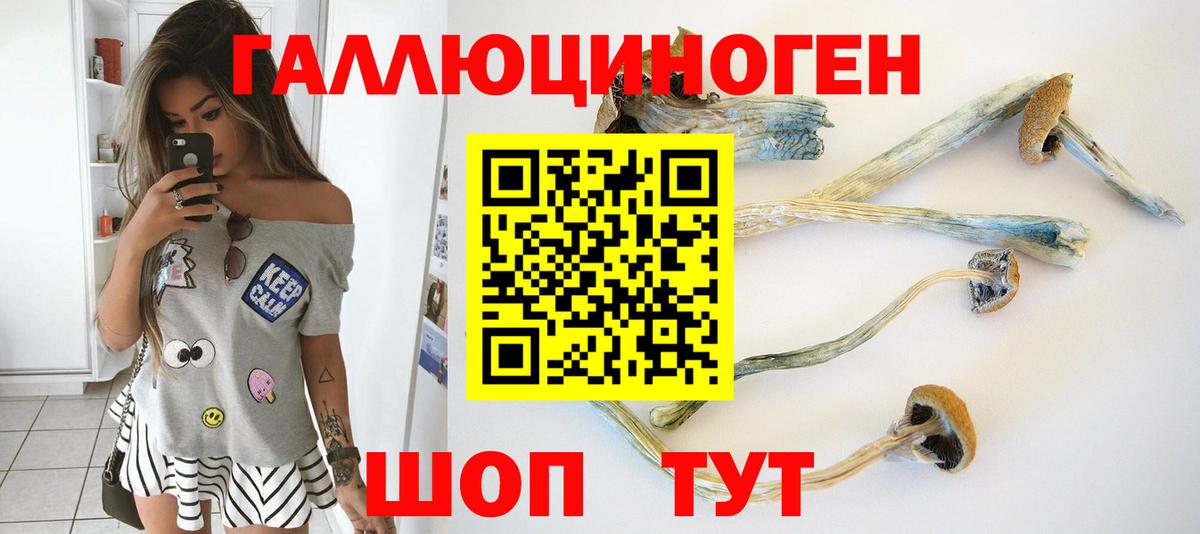 Галлюциногенные грибы Magic Shrooms Сорочинск
